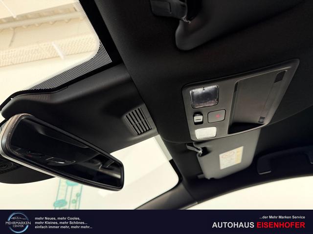 Ford Puma ST-Line Solar Silber Dach Schwarz