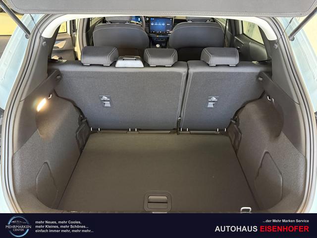 Ford Puma Titanium Cactus Grau