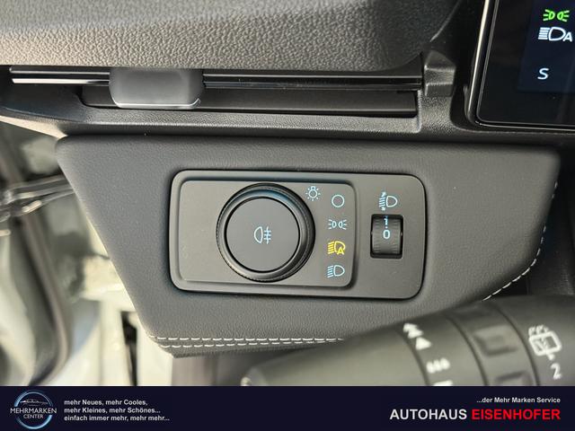 Ford Puma Titanium Cactus Grau