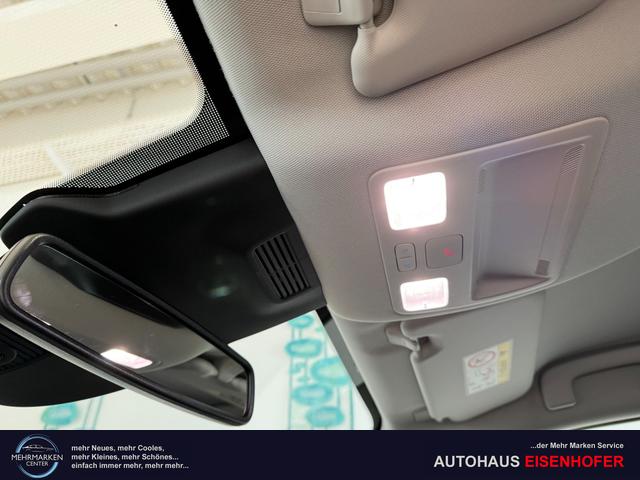 Ford Puma Titanium Cactus Grau