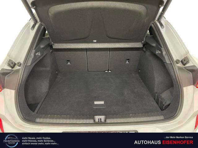 Cupra Terramar VZ 2.0 TSI 265PS/195kW 4x4 DSG7 2025 | *+20" Alu +Matrix +Top-View +Navi +DCC +Immersive +HUD* 