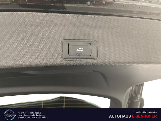 Cupra Terramar Nordic Edition 2.0 TSI 204PS/150kW 4Drive DSG7 2025 | *+Standheizung +AHK +Travel Assist +Immersive +Erweiterte Garantie* 
