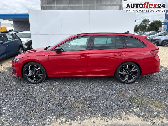 Skoda / Octavia / Grau / / / 