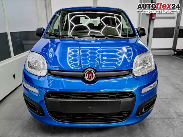 Vorlauffahrzeuge Fiat Panda - Pandina KLIMA PDC EL.PAKET 5 Kopfst&uuml;tzen