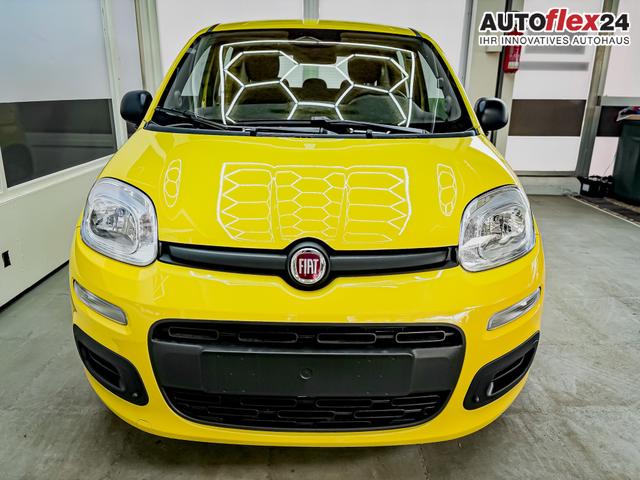 Vorlauffahrzeuge Fiat Panda - Pandina KLIMA PDC EL.PAKET 5 Kopfst&uuml;tzen