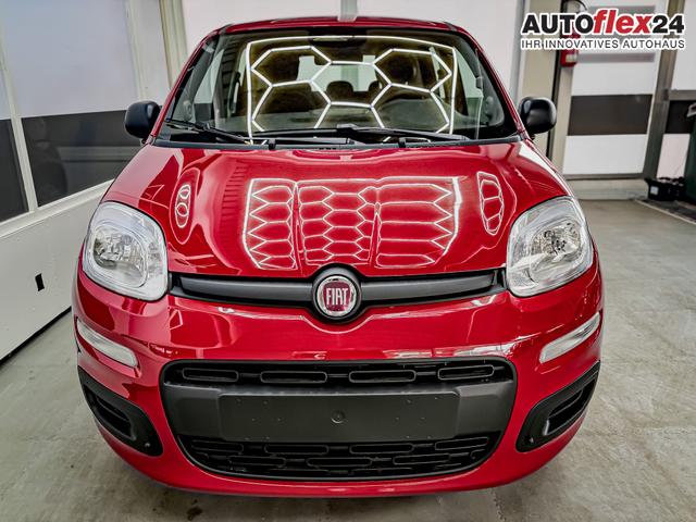 Vorlauffahrzeuge Fiat Panda - Pandina KLIMA PDC EL.PAKET 5 Kopfst&uuml;tzen