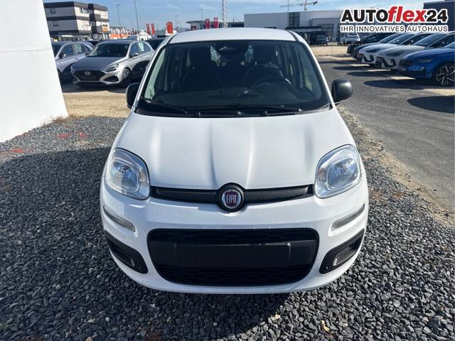 Vorlauffahrzeuge Fiat Panda - Pandina KLIMA PDC EL.PAKET 5 Kopfst&uuml;tzen