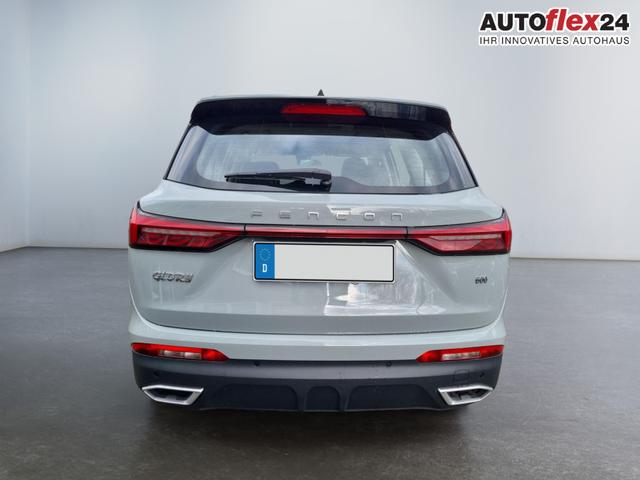 DFSK / Fengon 600 / Grau / / / 