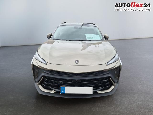 DFM / DFM Forthing 5 (Facelift) / Grau / / / 