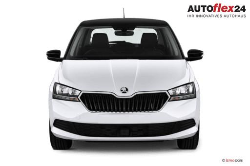 Skoda Fabia 1.0 TSI DSG Ambition 2x Einparkhilfe Sitzheizung Klima Navi Amundsen Apple Car 