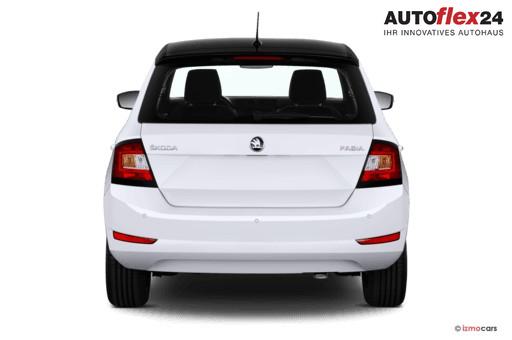 Skoda Fabia 1.0 TSI DSG Ambition 2x Einparkhilfe Sitzheizung Klima Navi Amundsen Apple Car 