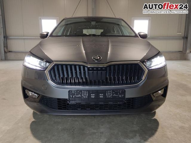 Skoda / Fabia / Grau / / / , Beispielbilder, ggf. teilweise mit Sonderausstattung