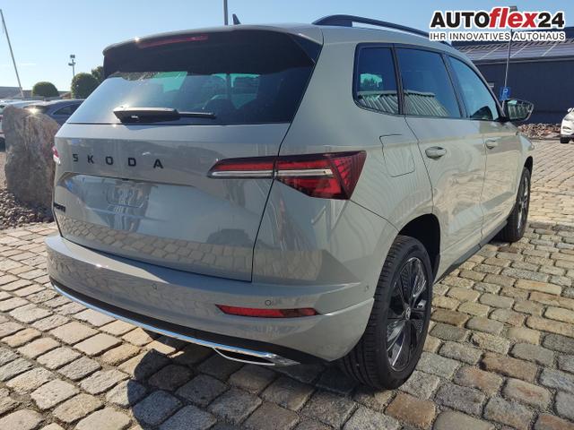Skoda / Karoq / Grau / / / , Beispielbilder, ggf. teilweise mit Sonderausstattung
