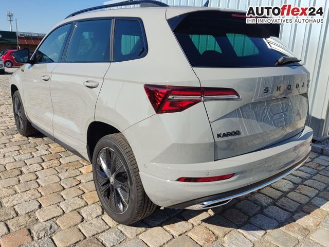 Skoda / Karoq / Grau / / / , Beispielbilder, ggf. teilweise mit Sonderausstattung