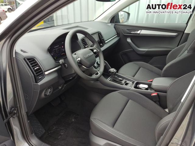 Skoda / Karoq / Grau / / / , Beispielbilder, ggf. teilweise mit Sonderausstattung