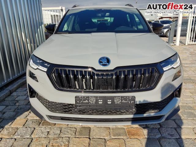 Skoda / Karoq / Grau / / / , Beispielbilder, ggf. teilweise mit Sonderausstattung