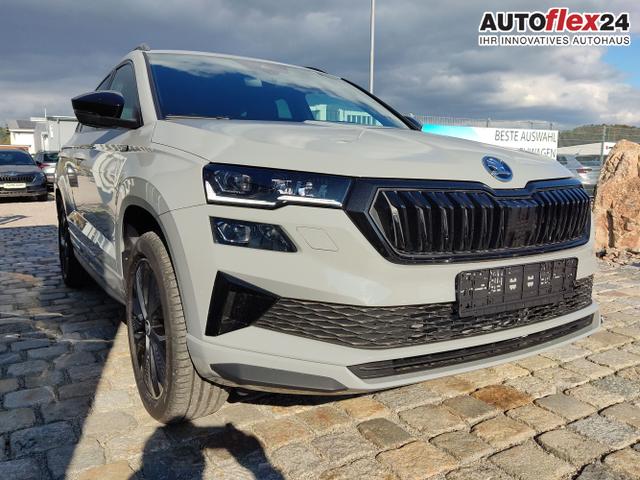 Skoda / Karoq / Grau / / / , Beispielbilder, ggf. teilweise mit Sonderausstattung