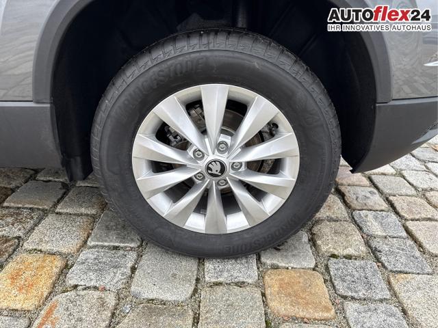 Skoda / Karoq / Grau / / / , Beispielbilder, ggf. teilweise mit Sonderausstattung