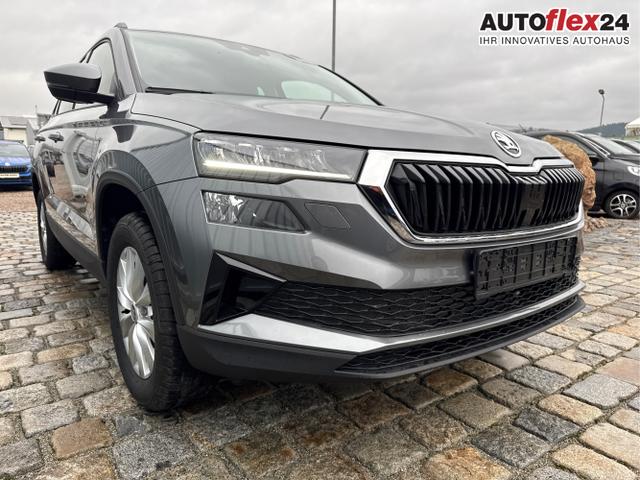 Skoda / Karoq / Grau / / / , Beispielbilder, ggf. teilweise mit Sonderausstattung