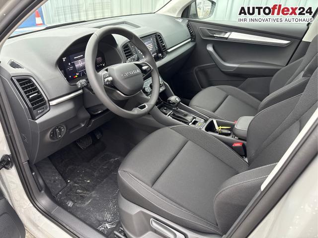 Skoda / Karoq / Grau / / / , Beispielbilder, ggf. teilweise mit Sonderausstattung