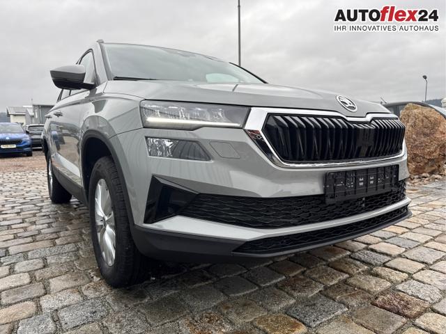Skoda / Karoq / Grau / / / , Beispielbilder, ggf. teilweise mit Sonderausstattung