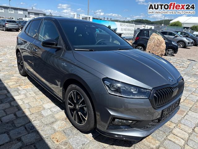 Skoda / Fabia / Grau / / / 