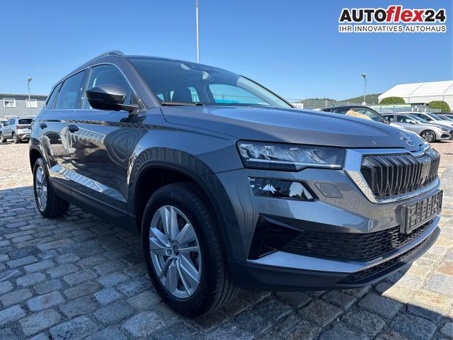 Skoda / Karoq / Grau / / / , Beispielbilder, ggf. teilweise mit Sonderausstattung