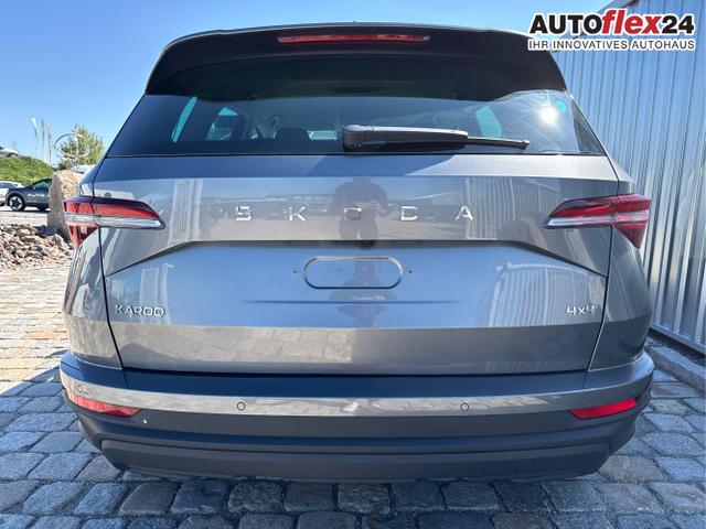 Skoda / Karoq / Grau / / / , Beispielbilder, ggf. teilweise mit Sonderausstattung