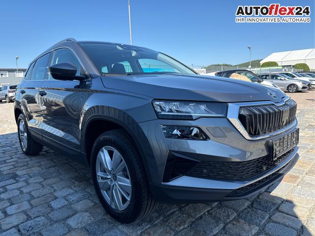 Skoda / Karoq / Grau / / / , Beispielbilder, ggf. teilweise mit Sonderausstattung