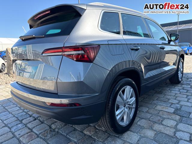 Skoda / Karoq / Grau / / / , Beispielbilder, ggf. teilweise mit Sonderausstattung