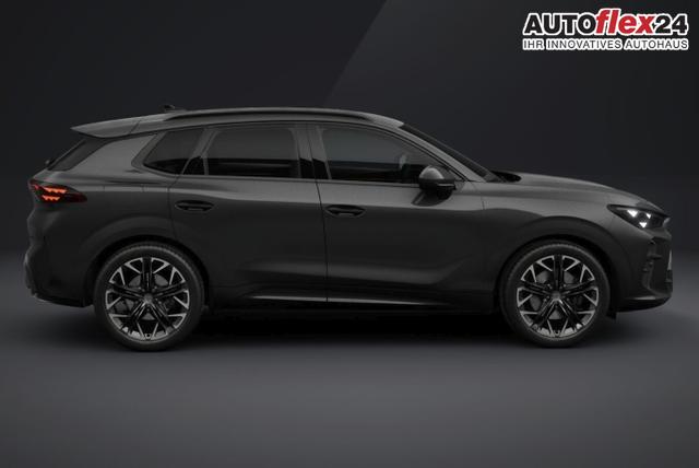 Cupra Terramar VZ 4D Matrix Nav AHK Sennh. 20Z eHk 