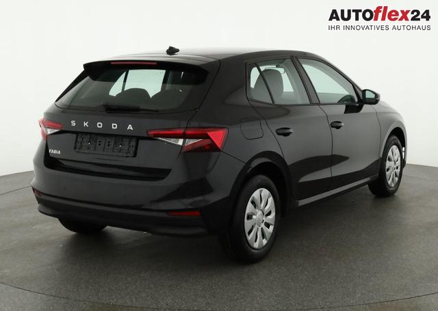 Skoda Fabia Selection 1.0 TSI Selection, Park, Winterpaket, SmartLink, 4-J Garantie 