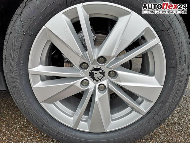 Skoda Karoq Selection 2.0 TDI DSG GV5 AHK 17 Ladeb 