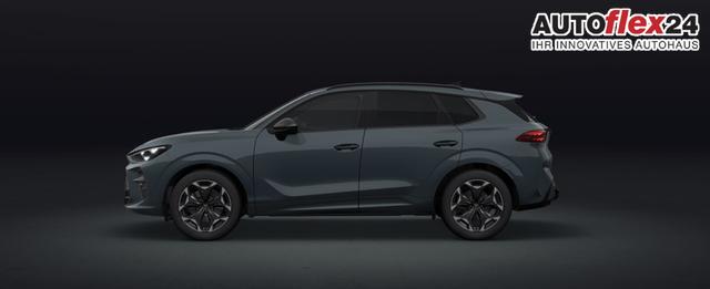 Vorlauffahrzeuge Cupra Terramar - VZ 2.0 TSI