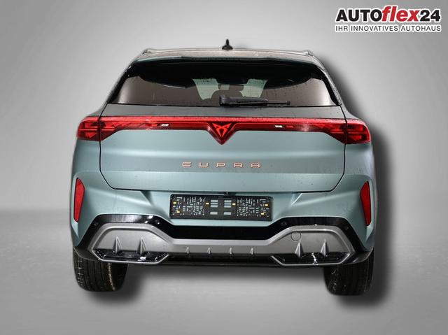 Cupra Terramar America`s CUP Limited Edition 2.0 TSI 195 kW (265 PS) 7-Gang DSG 