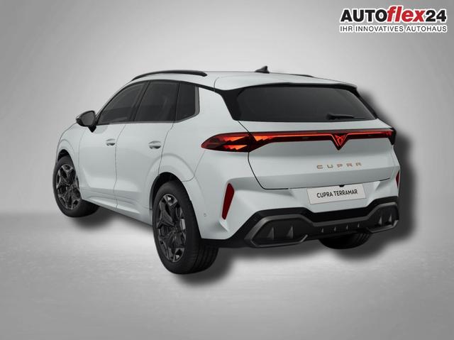 Cupra Terramar VZ 2.0 TSI 
