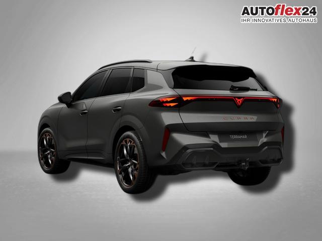 Cupra Terramar VZ 2.0 TSI 7-Gang-DSG 4Drive 