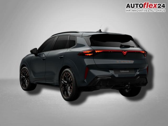 Cupra Terramar VZ 2.0 TSI 7-Gang-DSG 4Drive 