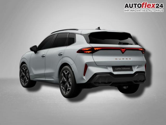 Vorlauffahrzeuge Cupra Terramar - VZ 2.0 TSI