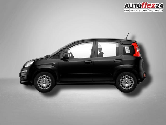 Vorlauffahrzeuge Fiat Pandina - Icon 1.0 Hybrid 6-Gang