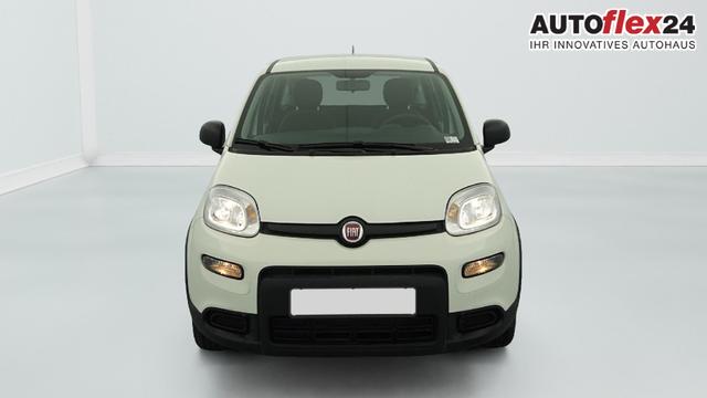 Vorlauffahrzeuge Fiat Panda - 