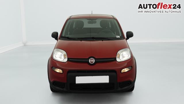 Vorlauffahrzeuge Fiat Panda - 