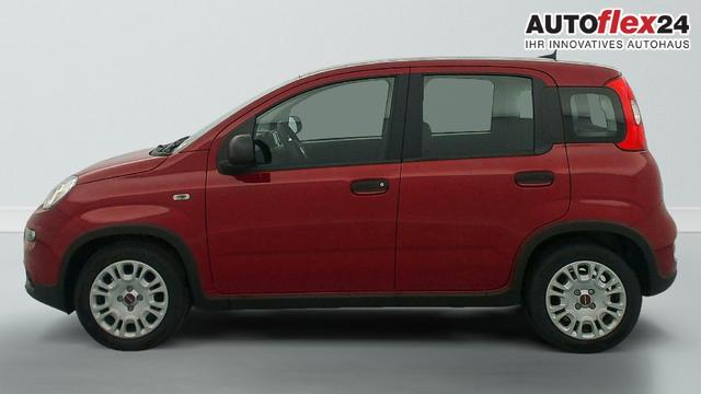 Fiat Panda 1.0 70 CH HYBRID BSG S/S 