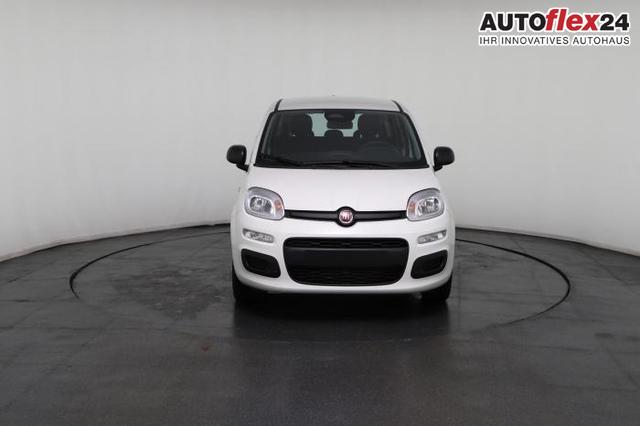 Vorlauffahrzeuge Fiat Panda - Pandina (Pandina) 1.0 hybrid 51kW (70 PS) 6-Gang Schaltgetriebe