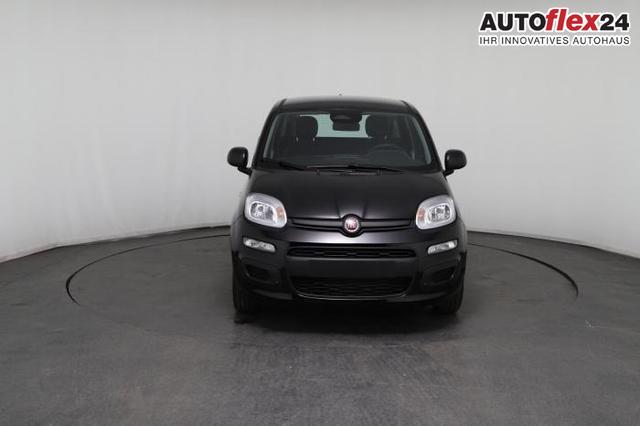 Vorlauffahrzeuge Fiat Panda - Pandina Icon (Pandina Icon) 1.0 Mild-Hybrid (65PS) 6-Gang Schaltgetriebe
