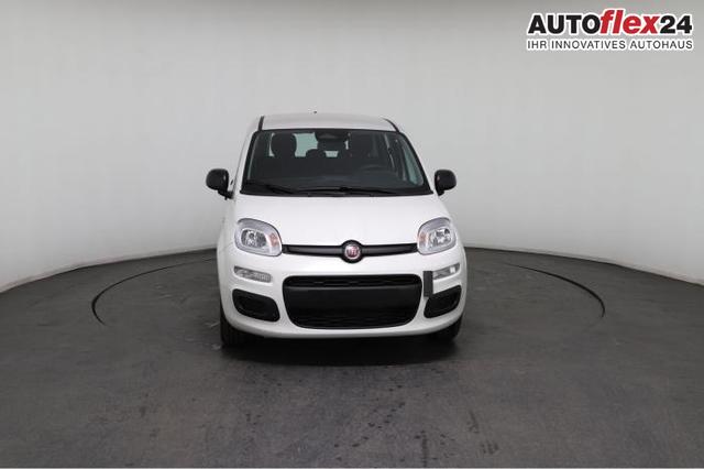 Vorlauffahrzeuge Fiat Panda - Pandina Icon (Pandina Icon) 1.0 Mild-Hybrid (65PS) 6-Gang Schaltgetriebe