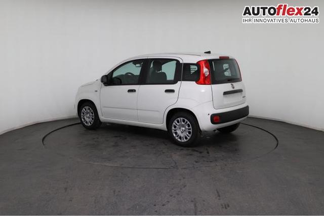 Fiat Panda Pandina Icon (Pandina Icon) 1.0 Mild-Hybrid (65PS) 6-Gang Schaltgetriebe 
