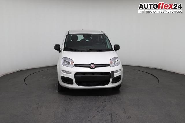 Vorlauffahrzeuge Fiat Panda - Pandina Icon (Pandina Icon) 1.0 Mild-Hybrid (65PS) 6-Gang Schaltgetriebe