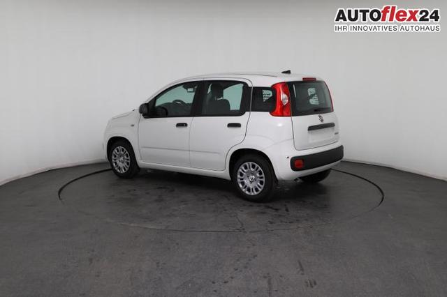 Fiat Panda Pandina Icon (Pandina Icon) 1.0 Mild-Hybrid (65PS) 6-Gang Schaltgetriebe 