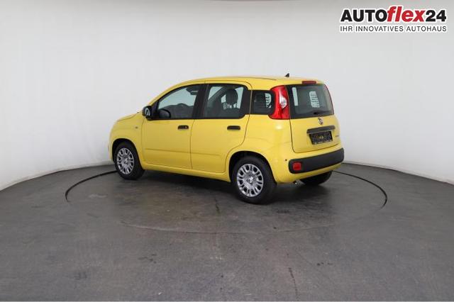 Fiat Panda Pandina Pop (Pandina Pop) 1.0 Mild-Hybrid (65PS) 6-Gang Schaltgetriebe 